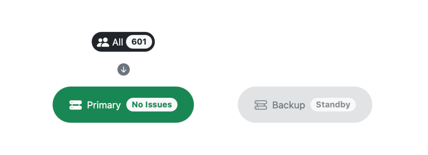 A diagram showing a primary and secondary provider with 100% of the traffic being directed to the primary provider.